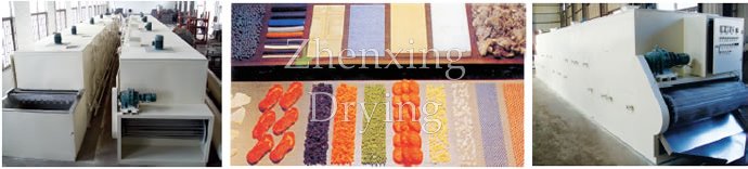 DW Single-belt Dryer