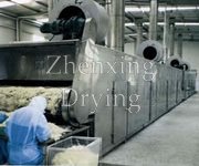 DWT Series Vegetable Dehydration Dryer