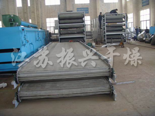 DWT Series Vegetable Dehydration Dryer